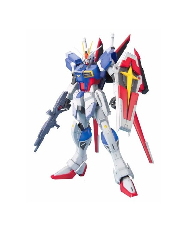 Force Impulse Gundam Gunpla MG 1/100